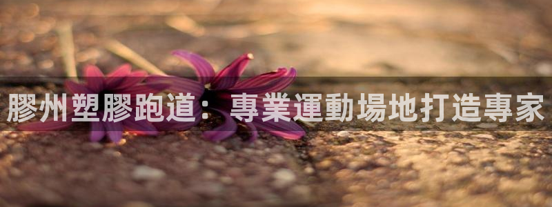 谈球吧黑款不：膠州塑膠跑道：專業運動場地打造專家