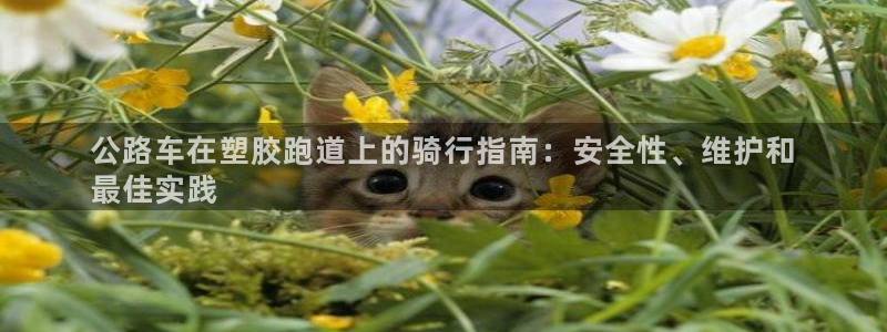 谈球吧登录：公路车在塑胶跑道上的骑行指南：安全性、维