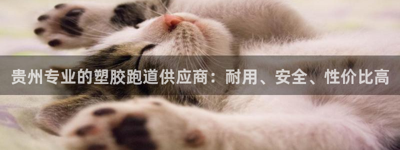 谈球吧真人：贵州专业的塑胶跑道供应商：耐用、安全、性