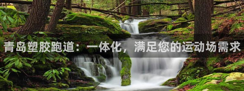 谈球吧的聊天软件叫什么名字：青岛塑胶跑道：一体化，满