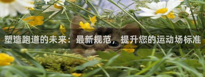 谈球吧体育app登陆入口：塑造跑道的未来：最新规范，