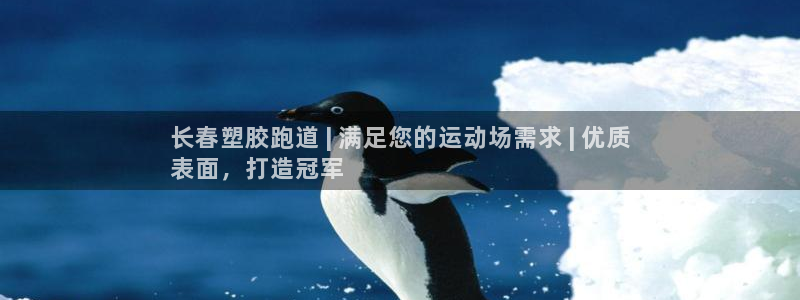 谈球吧体育app下载官网安卓：长春塑胶跑道 | 满足您的运动场需求 | 优质
表面，打造冠军
