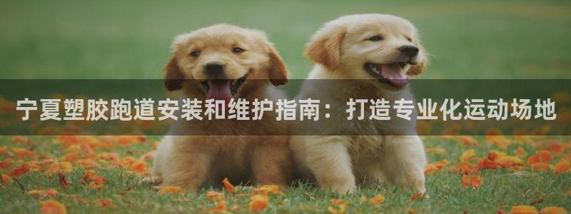 谈球吧app官网下载安卓：宁夏塑胶跑道安装和维护指南