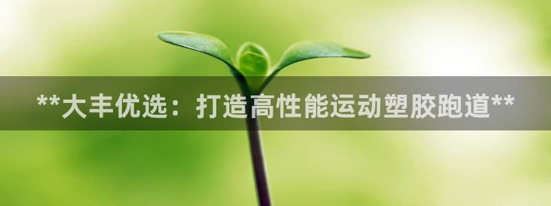 谈球吧网站：**大丰优选：打造高性能运动塑胶跑道**