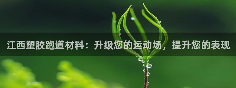 谈球吧是正规平台吗知乎：江西塑胶跑道材料：升级您的运动场，提升您的表现