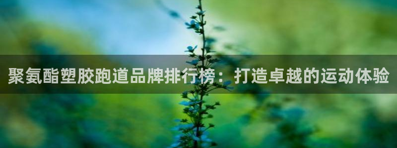 谈球吧app体育下载官网：聚氨酯塑胶跑道品牌排行榜：