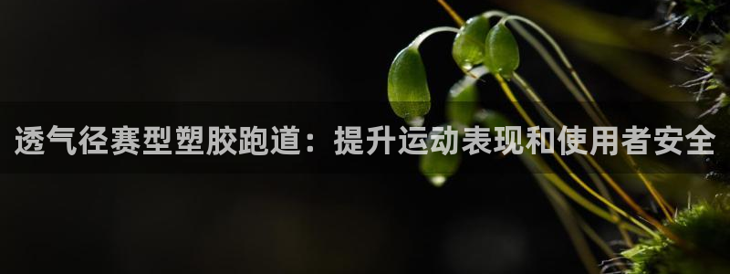 谈球吧买球靠谱吗：透气径赛型塑胶跑道：提升运动表现和