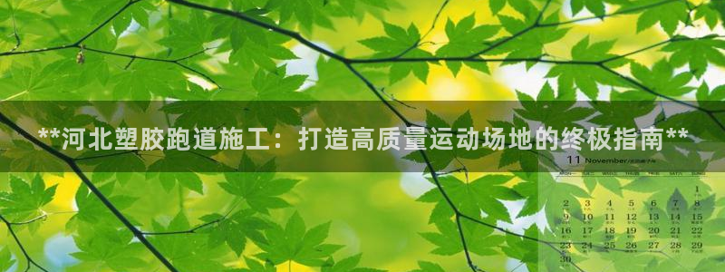 谈球吧官网下载：**河北塑胶跑道施工：打造高质量运动场地的终极指南**