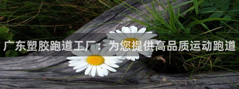 谈球吧app下载安装：广东塑胶跑道工厂：为您提供高品质运动跑道