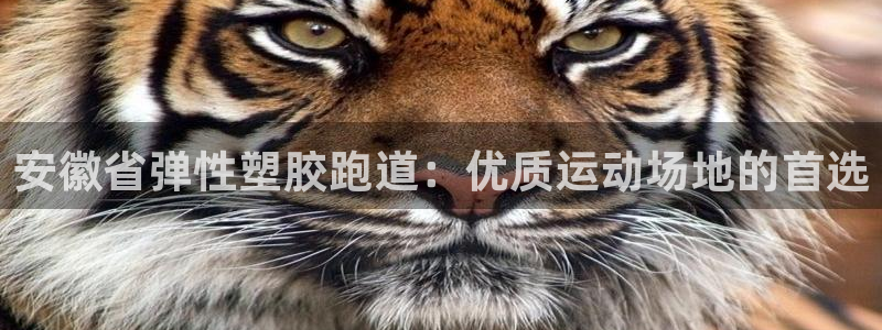 谈球吧首充金额截图：安徽省弹性塑胶跑道：优质运动场地的首选