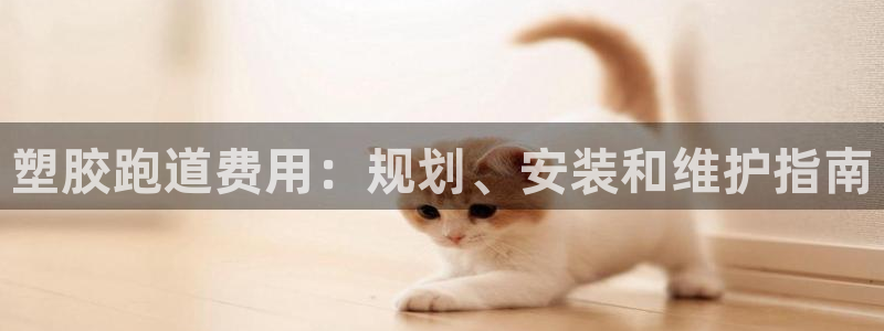 谈球吧体育综合：塑胶跑道费用：规划、安装和维护指南