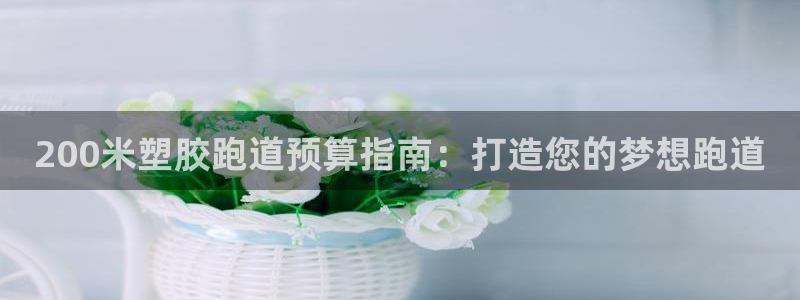 谈球吧官网在线入口手机版下载：200米塑胶跑道预算指南：打造您的梦想跑道