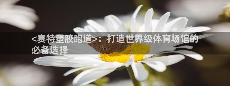 谈球吧官网在线入口免费观看高清：<赛特塑胶跑道>：打造世界级体育场馆的
必备选择