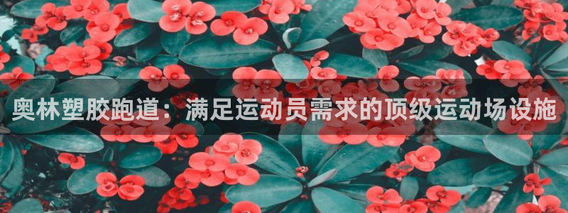 谈球吧官网首页：奥林塑胶跑道：满足运动员需求的顶级运