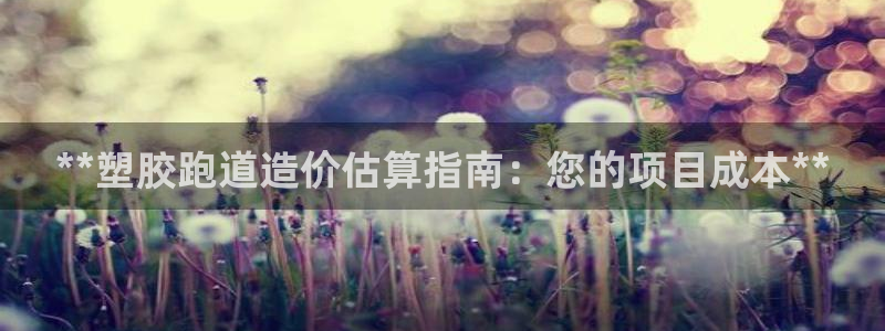 谈球吧可靠吗：**塑胶跑道造价估算指南：您的项目成本