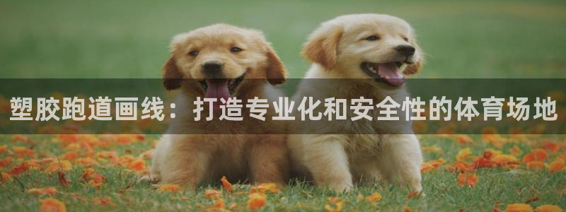 谈球吧账号有人收吗：塑胶跑道画线：打造专业化和安全性的体育场地