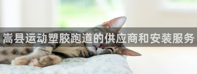 谈球吧是正规平台吗知乎：嵩县运动塑胶跑道的供应商和安装服务