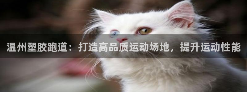 谈球吧app官网下载：温州塑胶跑道：打造高品质运动场地，提升运动性能