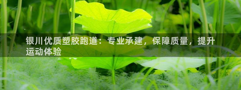 谈球吧官网app下载：银川优质塑胶跑道：专业承建，保