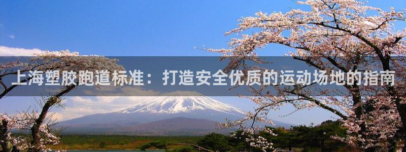 谈球吧网站：上海塑胶跑道标准：打造安全优质的运动场地的指南
