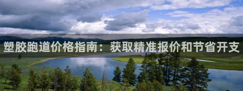 谈球吧是黑台子吗还是白台子好：塑胶跑道价格指南：获取精准报价和节省开支