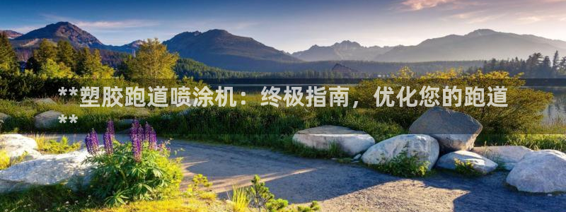 谈球吧买球靠谱吗：**塑胶跑道喷涂机：终极指南，优化您的跑道
**