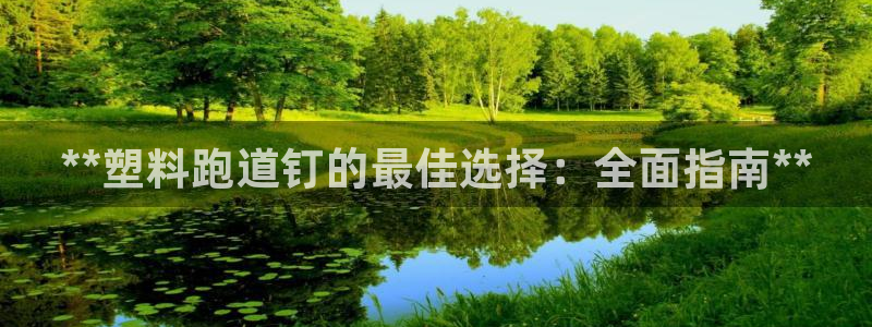 谈球吧APP开元：**塑料跑道钉的最佳选择：全面指南**