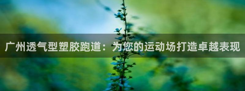 谈球吧的聊天软件是什么：广州透气型塑胶跑道：为您的运动场打造卓越表现