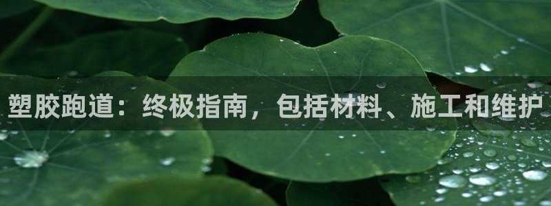 谈球吧下载地址：塑胶跑道：终极指南，包括材料、施工和维护