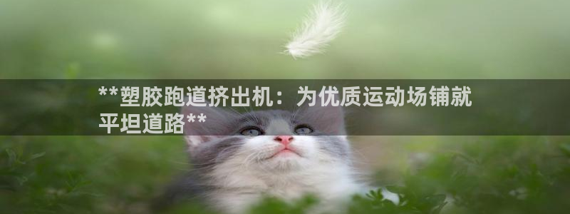 谈球吧体育app下载中心官方最新版：**塑胶跑道挤出机：为优质运动场铺就
平坦道路**