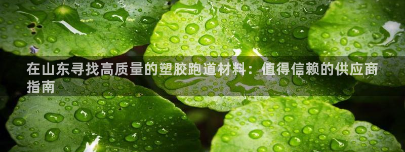 谈球吧账号有人收吗：在山东寻找高质量的塑胶跑道材料：值得信赖的供应商
指南
