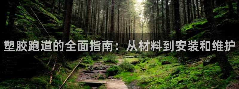 谈球吧体育app下载足球：塑胶跑道的全面指南：从材料到安装和维护