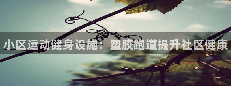 谈球吧的聊天软件是什么：小区运动健身设施：塑胶跑道提