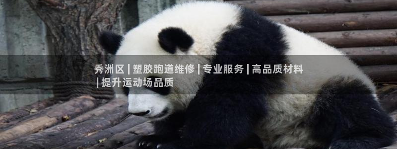 谈球吧体育app登陆入口：秀洲区 | 塑胶跑道维修 | 专业服务 | 高品质材料
 | 提升运动场品质
