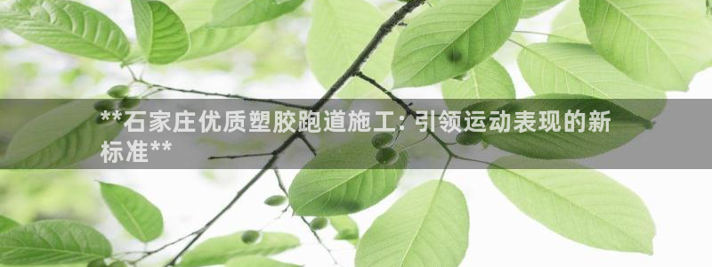 谈球吧体育app下载中心官方：**石家庄优质塑胶跑道