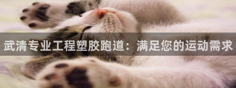 谈球吧的聊天软件下载：武清专业工程塑胶跑道：满足您的运动需求
