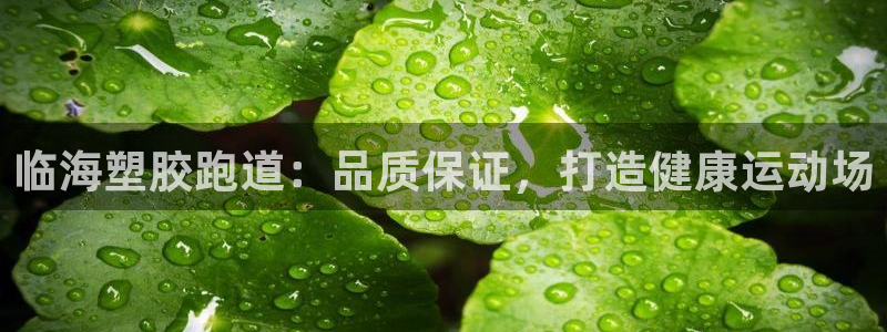 谈球吧体育综合台