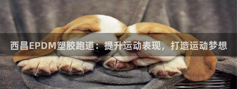 谈球吧网站：西昌EPDM塑胶跑道：提升运动表现，打造