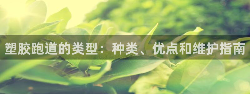 谈球吧被黑不给提现：塑胶跑道的类型：种类、优点和维护指南