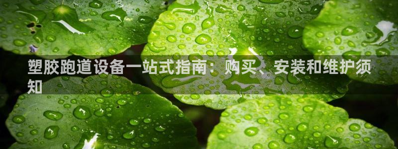 谈球吧app官方下载：塑胶跑道设备一站式指南：购买、安装和维护须
知