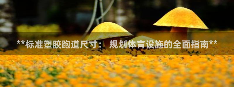 谈球吧app赛事分析在哪里看到：**标准塑胶跑道尺寸： 规划体育设施的全面指南**