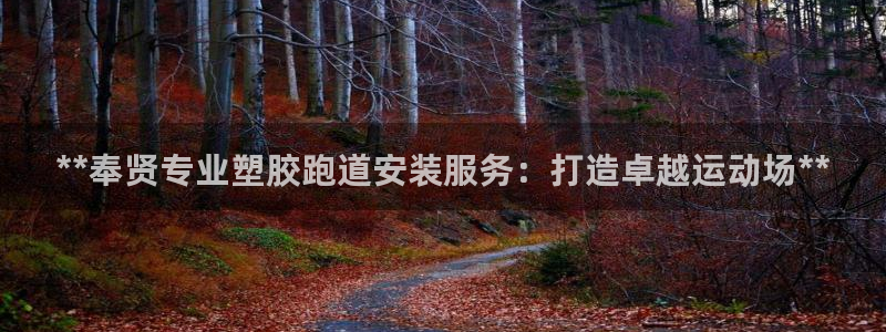 谈球吧官网在线入口网址：**奉贤专业塑胶跑道安装服务：打造卓越运动场**