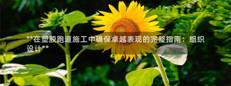 谈球吧平台正规吗可靠吗：**在塑胶跑道施工中确保卓越表现的完整指南：组织
设计**