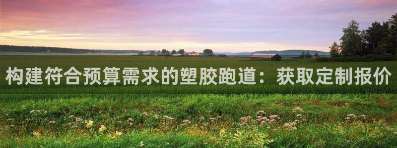 谈球吧平台正规吗可信吗：构建符合预算需求的塑胶跑道：获取定制报价