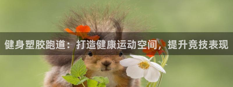 谈球吧体育app下载中心官方网站：健身塑胶跑道：打造