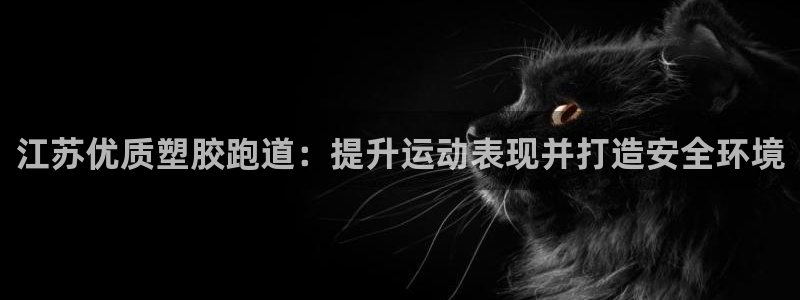 谈球吧平台app下载网址是多少：江苏优质塑胶跑道：提升运动表现并打造安全环境