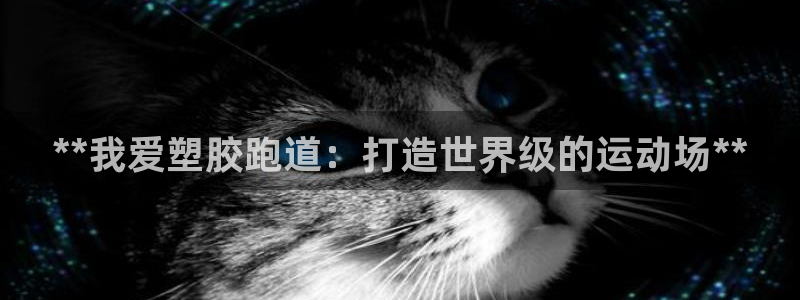 谈球吧平台正规吗可信吗：**我爱塑胶跑道：打造世界级的运动场**