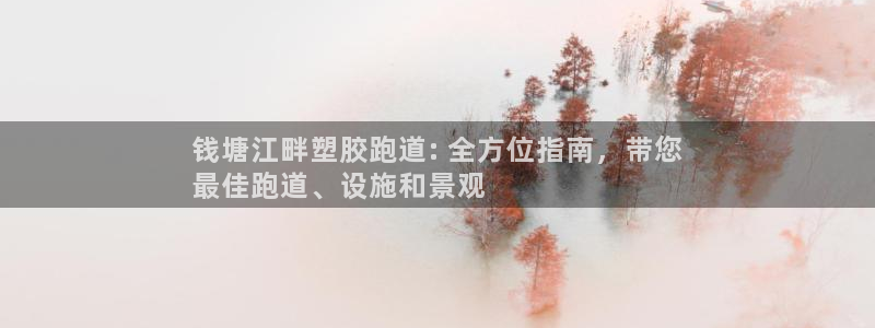 谈球吧登录地址：钱塘江畔塑胶跑道: 全方位指南，带您