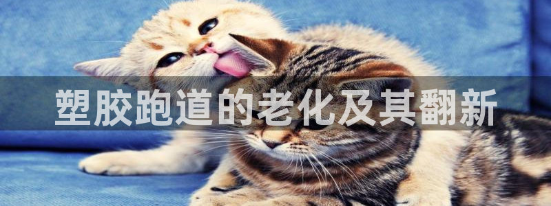 谈球吧app体育：塑胶跑道的老化及其翻新