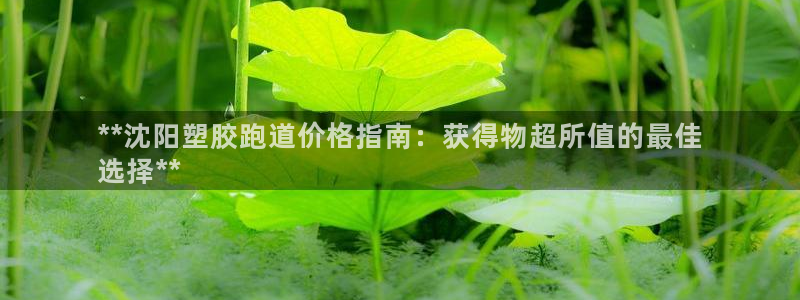 谈球吧娱乐app下载官网苹果版：**沈阳塑胶跑道价格